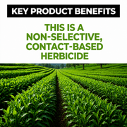 Glyphosate 41% SL Herbicide Concentrate for Professional Vegetation Management