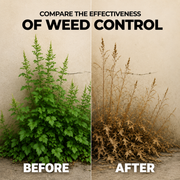 Glyphosate 41% SL Herbicide Concentrate for Professional Vegetation Management
