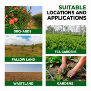 Glyphosate 41% SL Herbicide Concentrate for Professional Vegetation Management