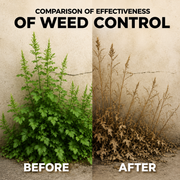 Glyphosate Herbicide Concentrate for Weed Control – Systemic Formula for Agriculture, Garden & Land Care (Yellow)