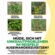 Glyphosate Herbicide Concentrate for Weed Control – Systemic Formula for Agriculture, Garden & Land Care (Yellow)