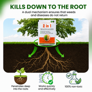 2-in-1 High-Performance Herbicide – Fast-Acting Weed Killer with Visible Results in 6 Hours, Glyphosate-Free Formula