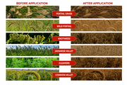 41% Glyphosate Liquid Concentrate – Effective Solution for Vegetation Control & Land Maintenance