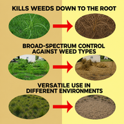 41% Glyphosate Liquid Concentrate – Effective Solution for Vegetation Control & Land Maintenance