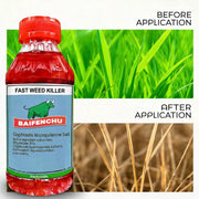 Glyphosate-Based Herbicide 41% SL Concentrate for Vegetation Management