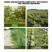 Glyphosate-Based Herbicide 41% SL Concentrate for Vegetation Management