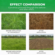 Glyphosate-Based Herbicide 41% SL Concentrate for Vegetation Management