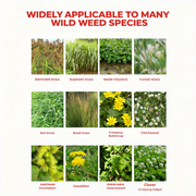Glyphosate-Based Herbicide 41% SL Concentrate for Vegetation Management